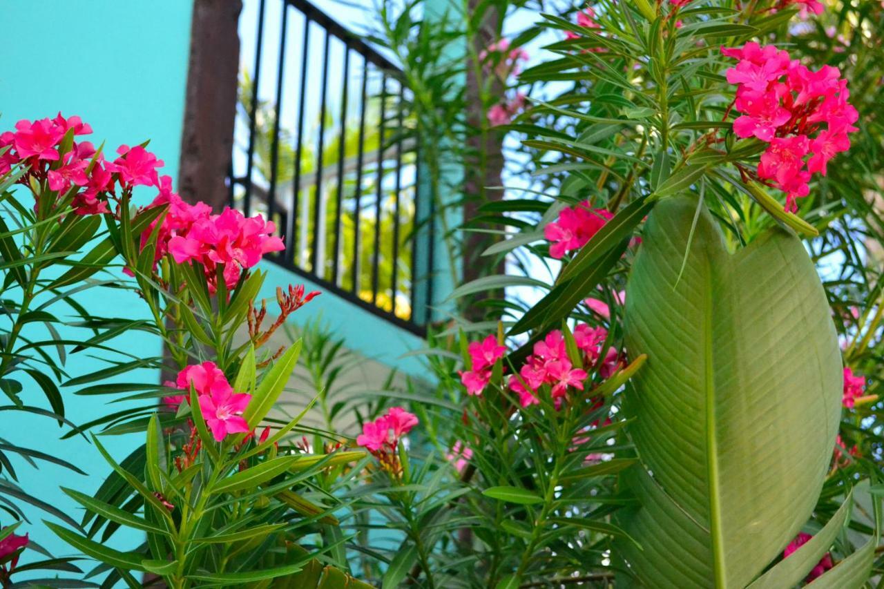 Emerald Beach Resort Altona Exterior foto